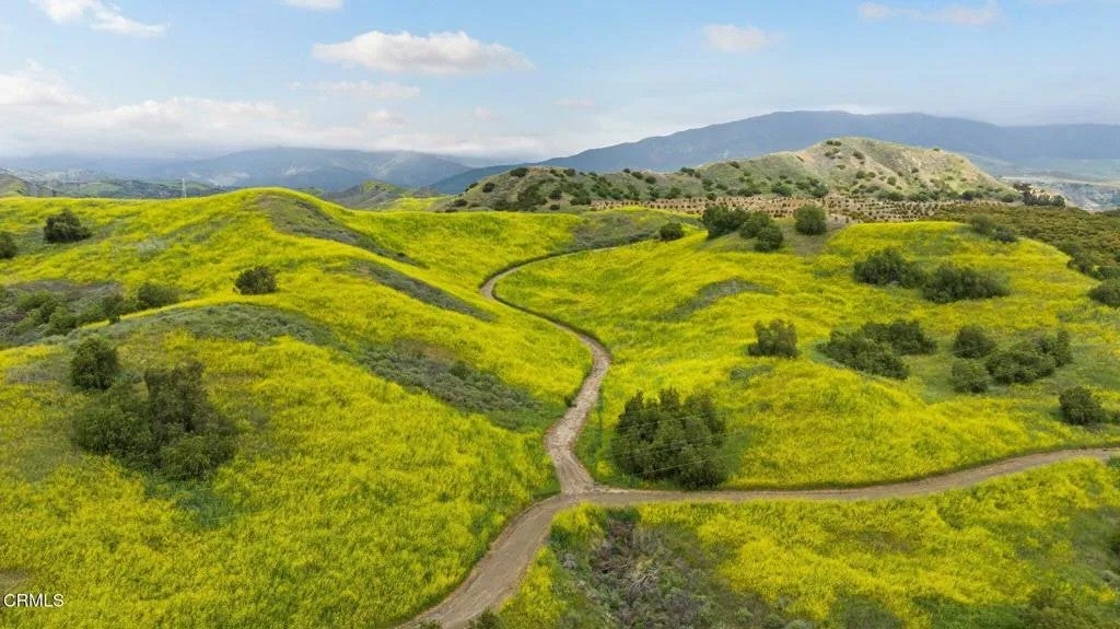 Photo of 0 Dickenson, Santa Paula, CA 93060 (MLS # V1-35974)