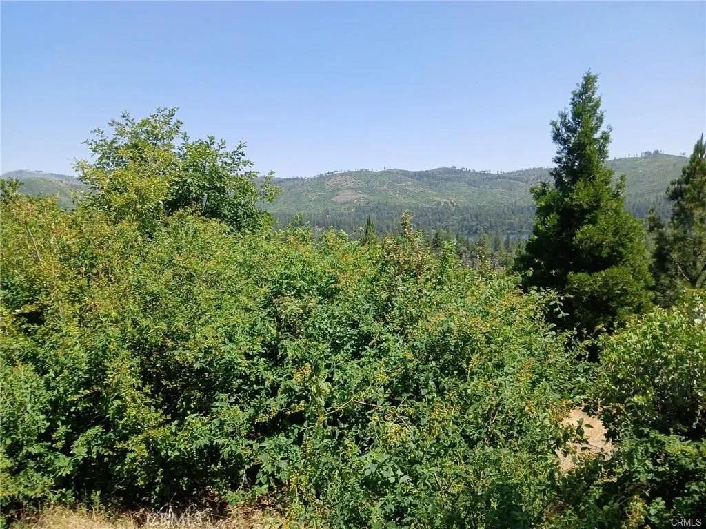 Photo of 0 Astoria, Concow, CA 95965 (MLS # OR26151726)