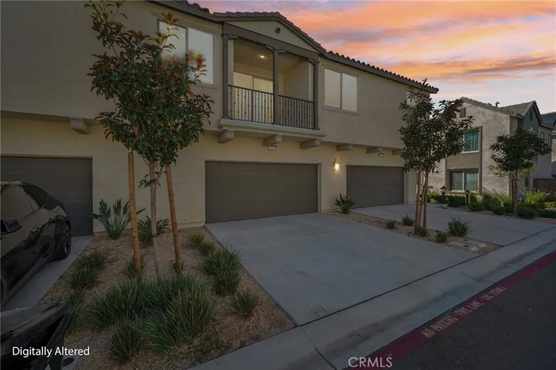 5254 Wildflower