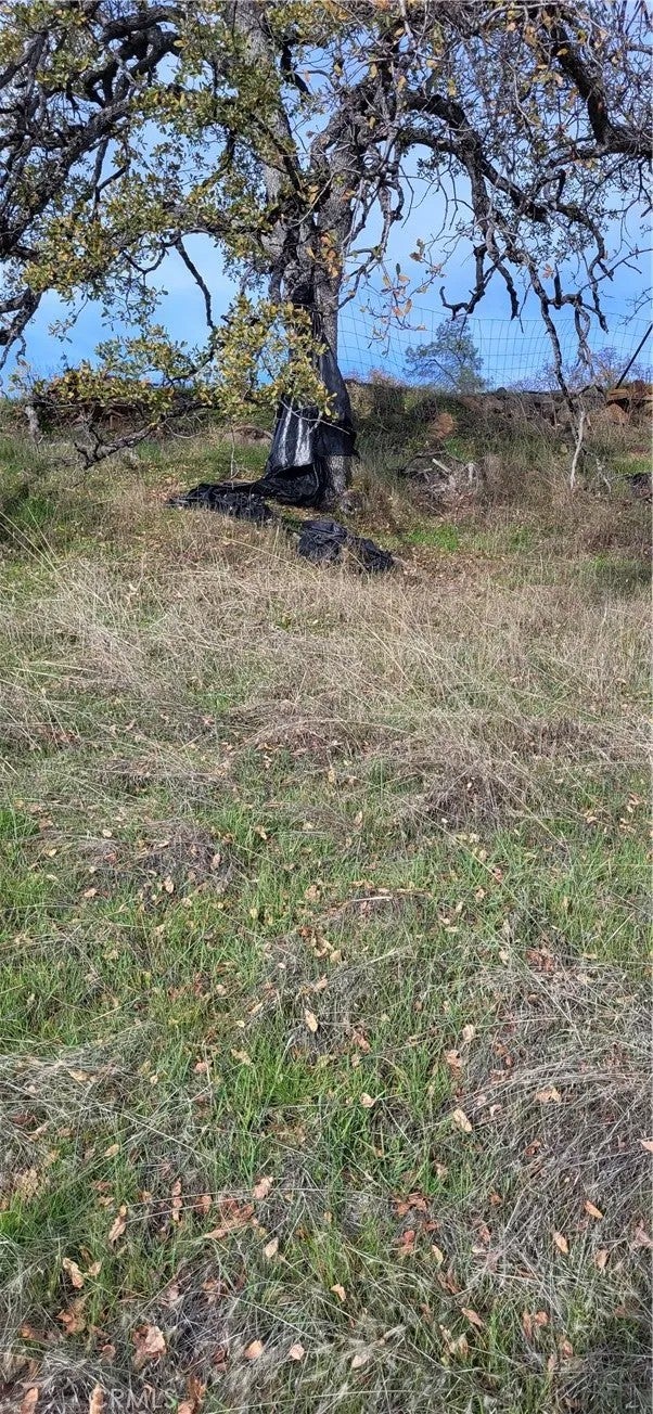 0 Cottonwood Creek