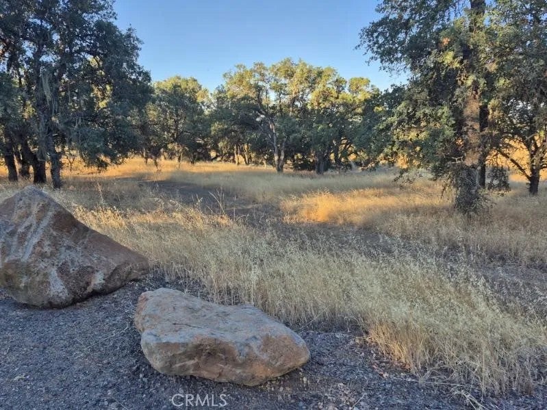 2225 Park