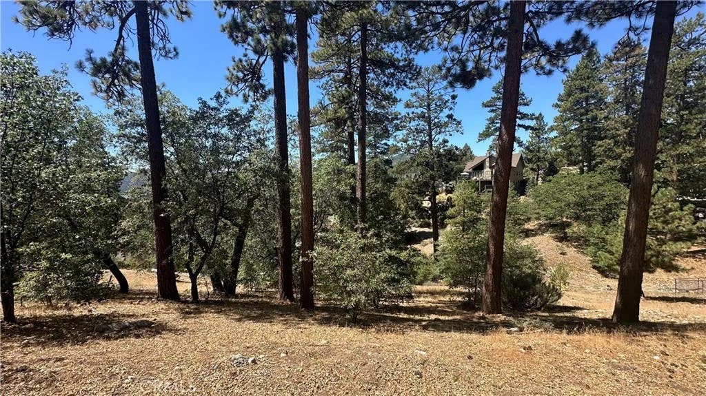Photo of 1154 Ridge Rd, Fawnskin, CA 92333 (MLS # AR26184527)