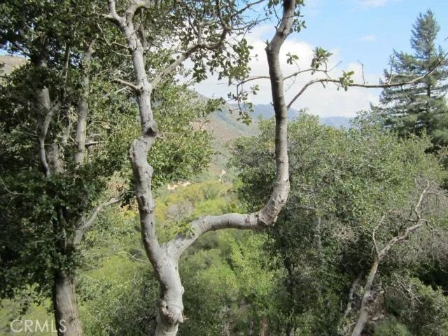 0 Burnt Mill Canyon