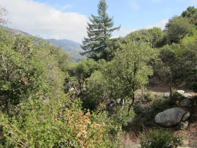 0 Burnt Mill Canyon