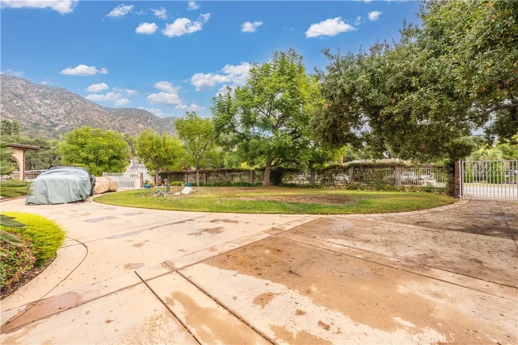 175 Mount Olive Drive