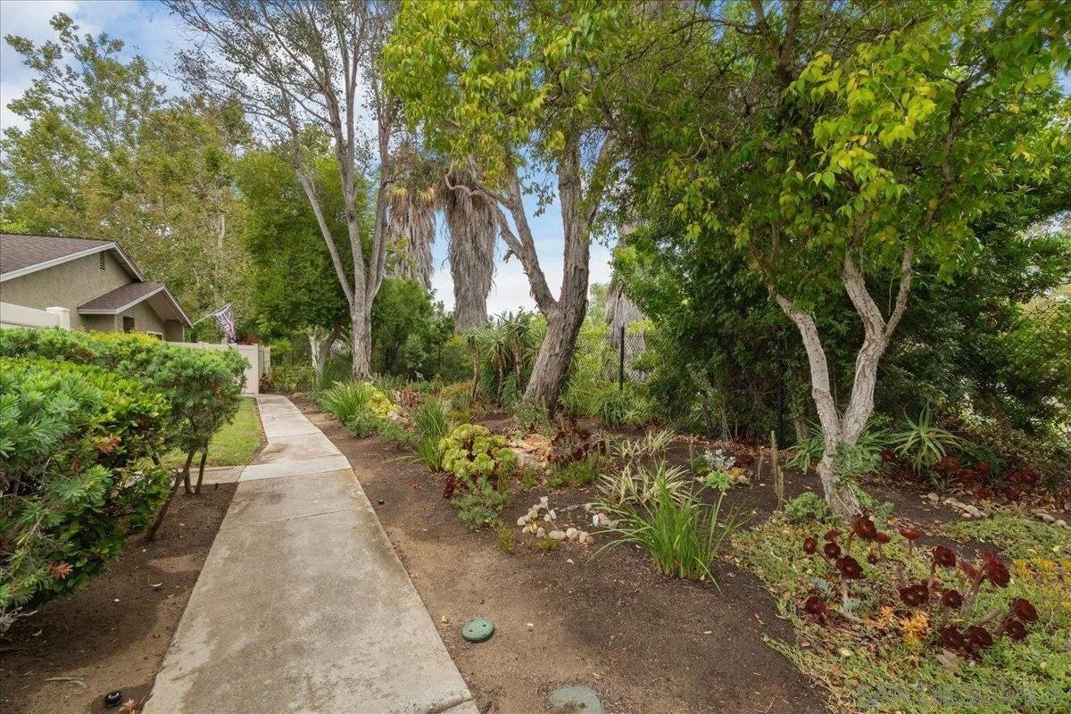 13669 Sycamore Tree