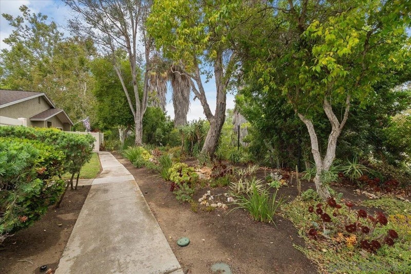13669 Sycamore Tree