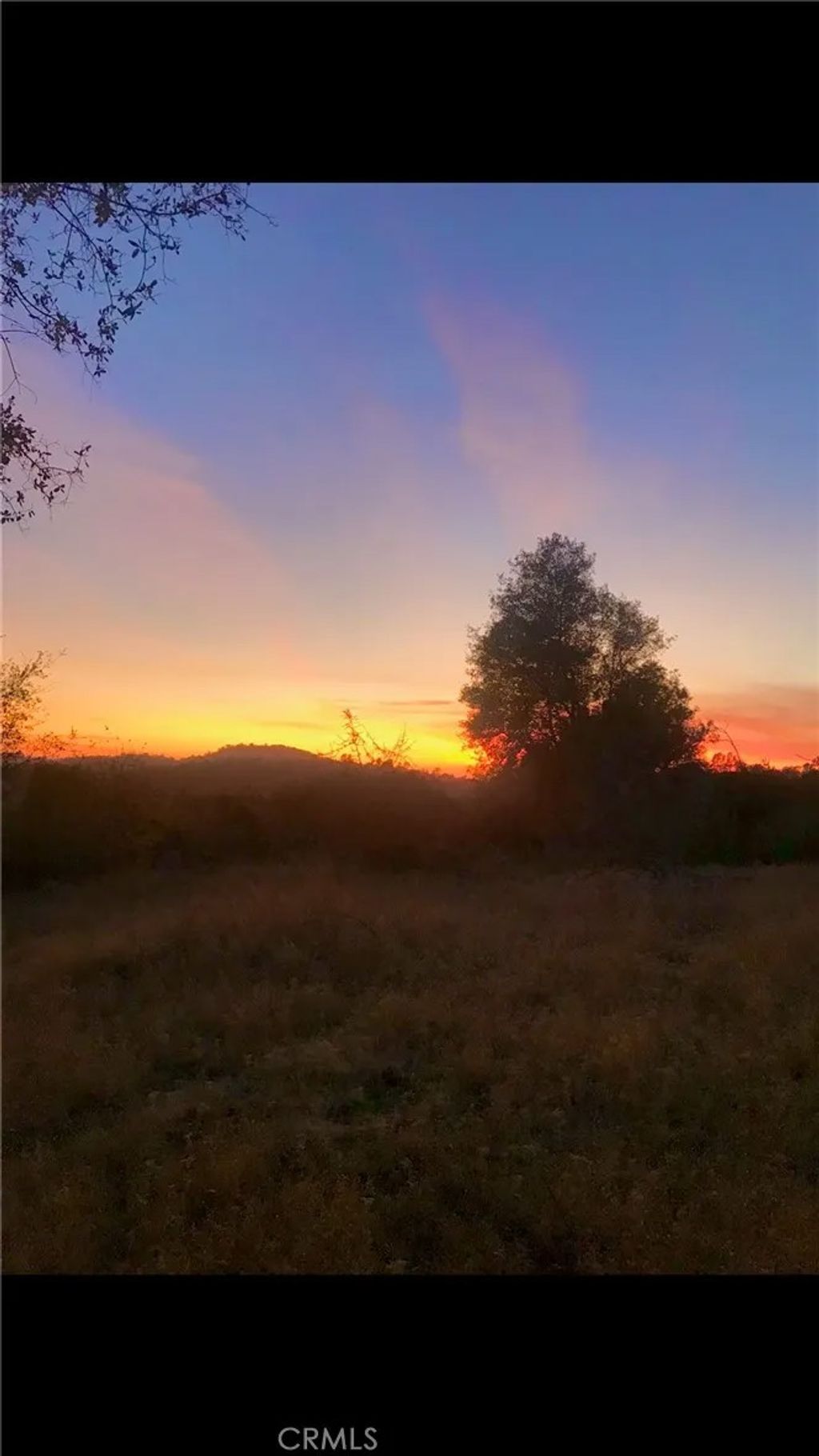 Photo of 10 Old Oak, Mariposa, CA 95338 (MLS # FR26069921)