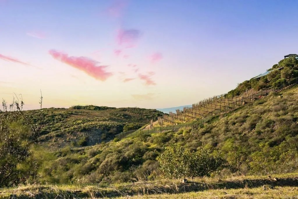 18180 Cerro Del Sol