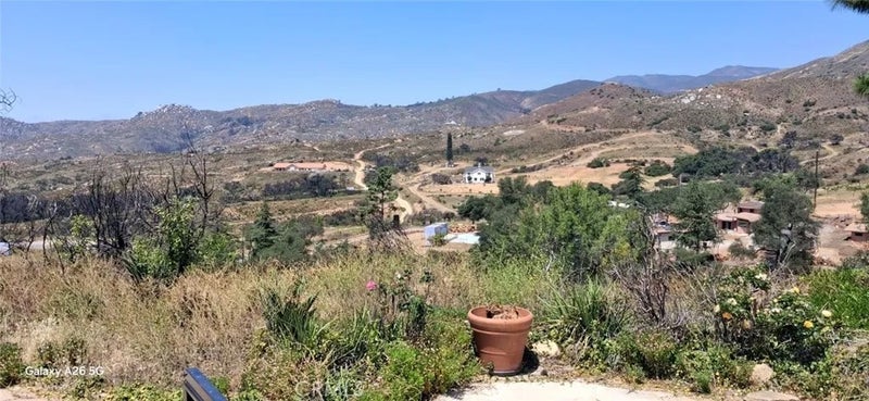 32780 Ortega