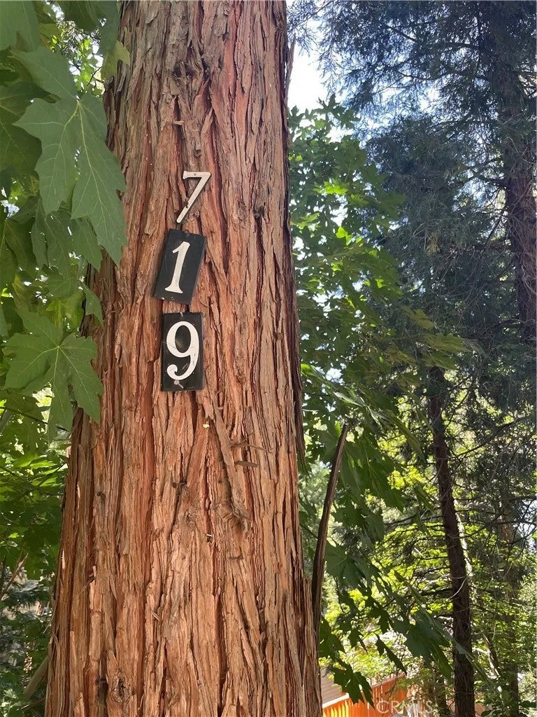 719 Woodland Road