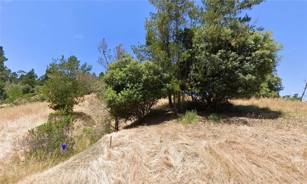 Photo of 0 London, Cambria, CA 93428 (MLS # SW26019992)