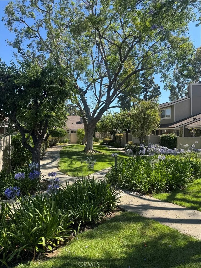 3166 E Palm