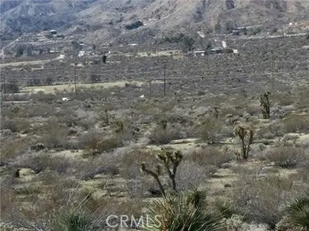 0 29 Palms Highway