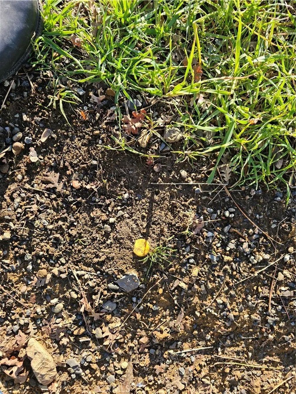 Photo of 10167 Bell, Lower Lake, CA 95457 (MLS # LC26039192)