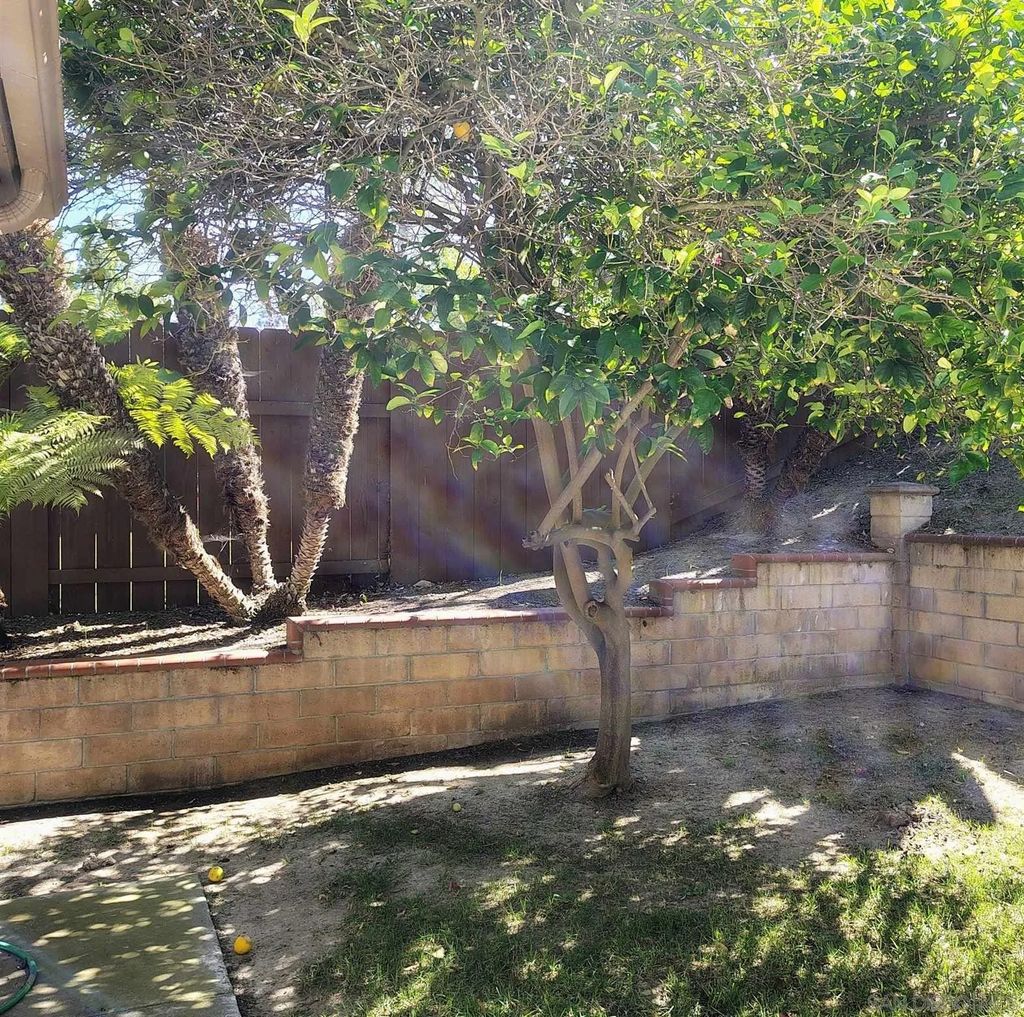 Photo of 736 Redlands Pl, Bonita, CA 91902 (MLS # 260010973)
