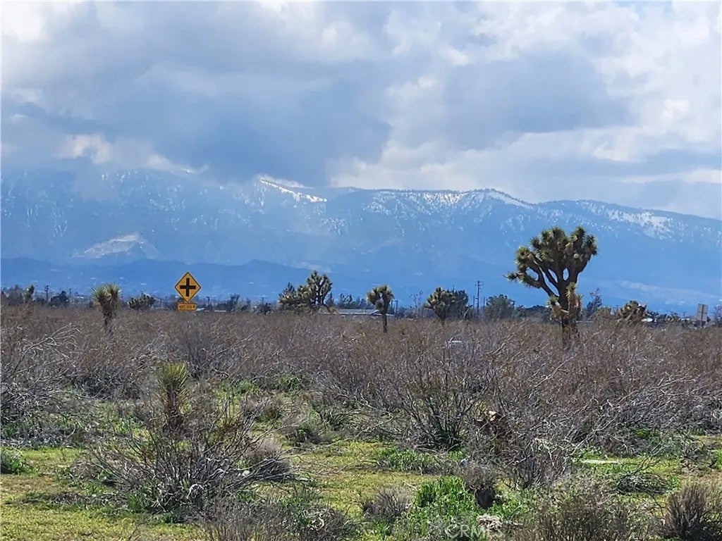 0 Bear Valley