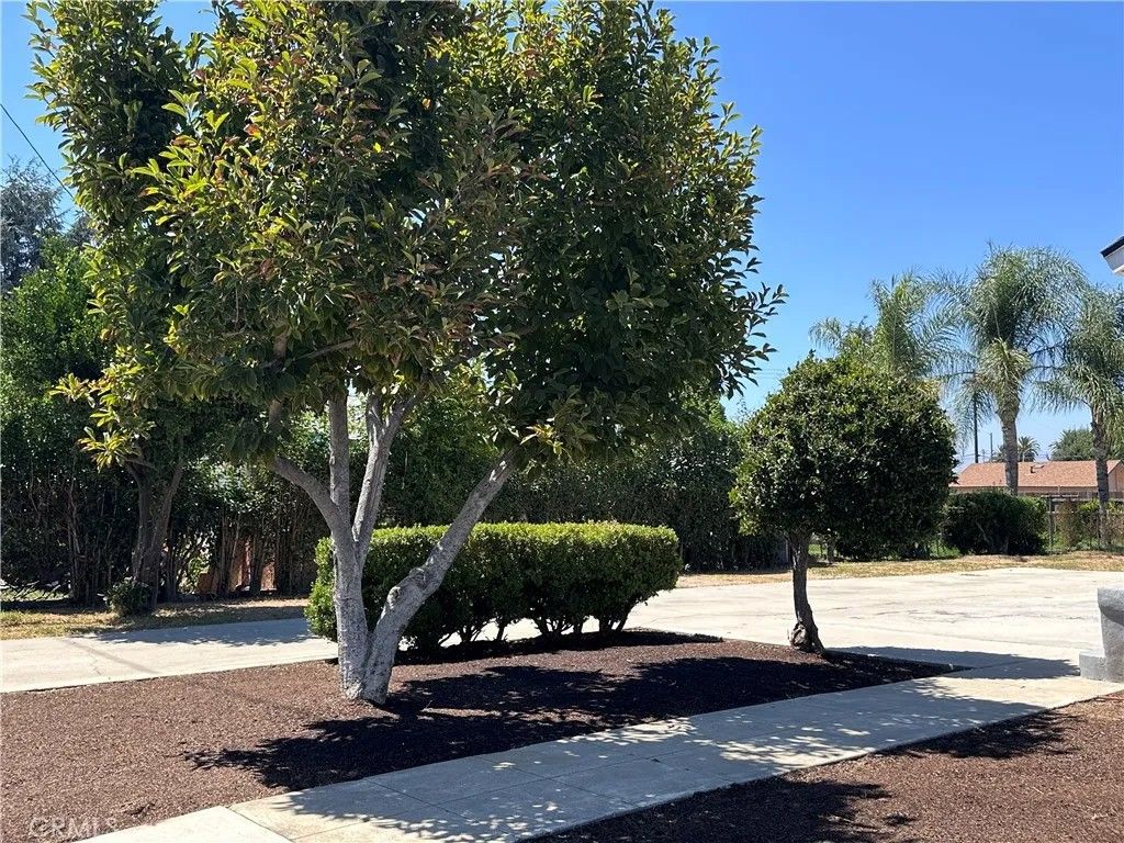 Photo of 565 E 12th Street, Pomona, CA 91766 (MLS # WS25255478)