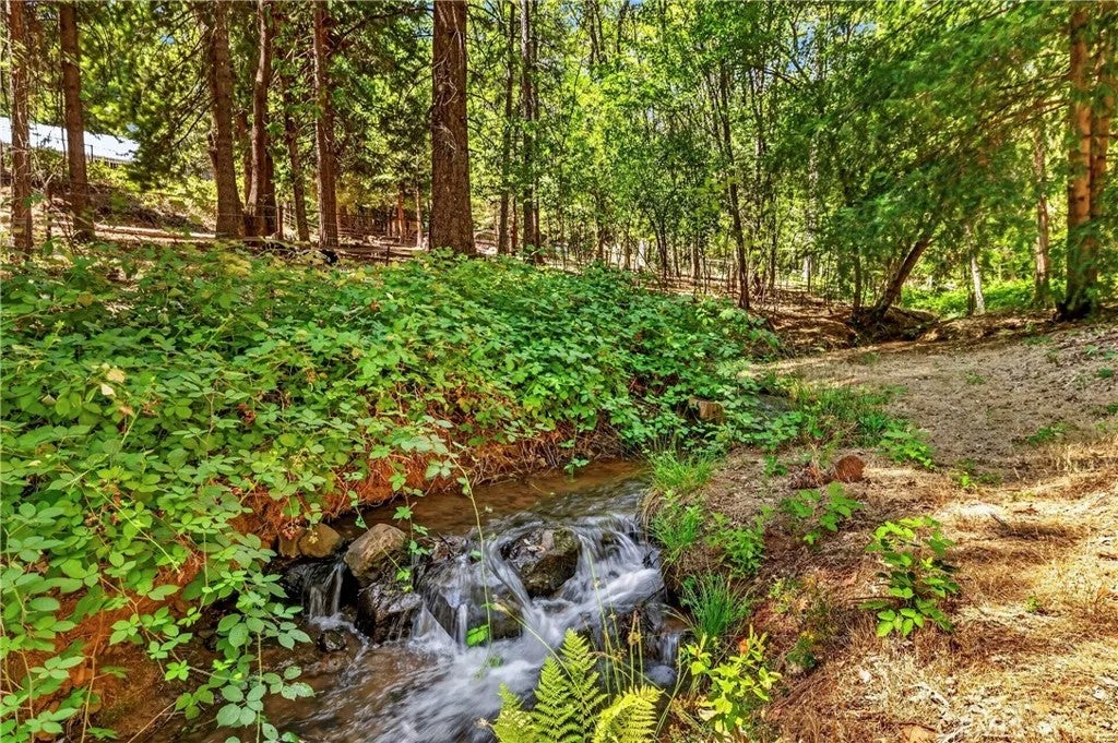 6055 Timber Ridge