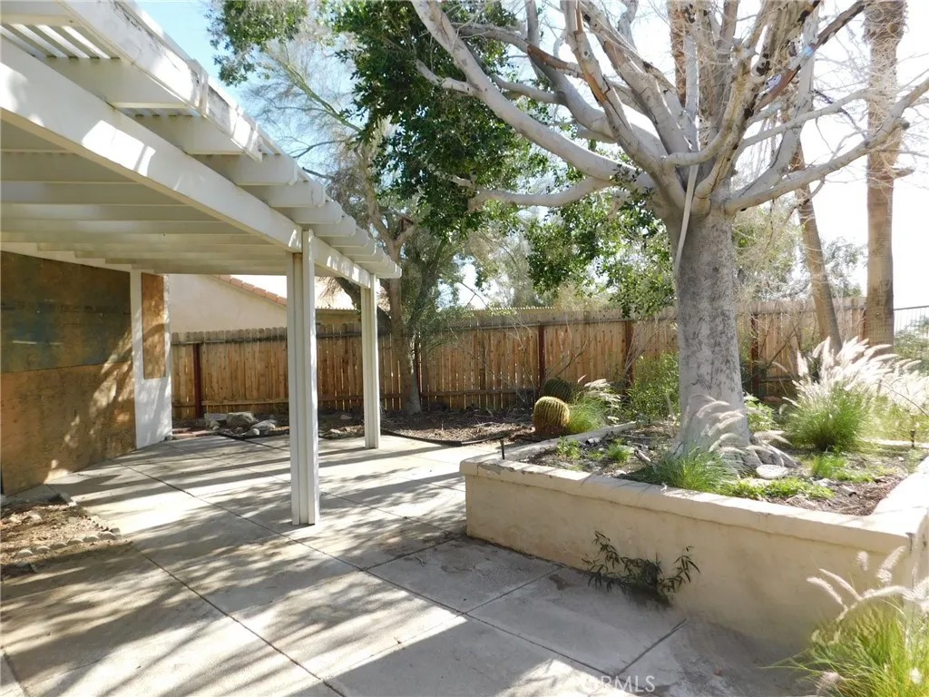 9651 Cholla