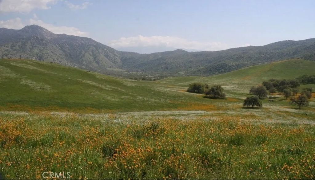 Photo of 5570 caliente bodfish, Unknown, CA 93518 (MLS # CV26070121)