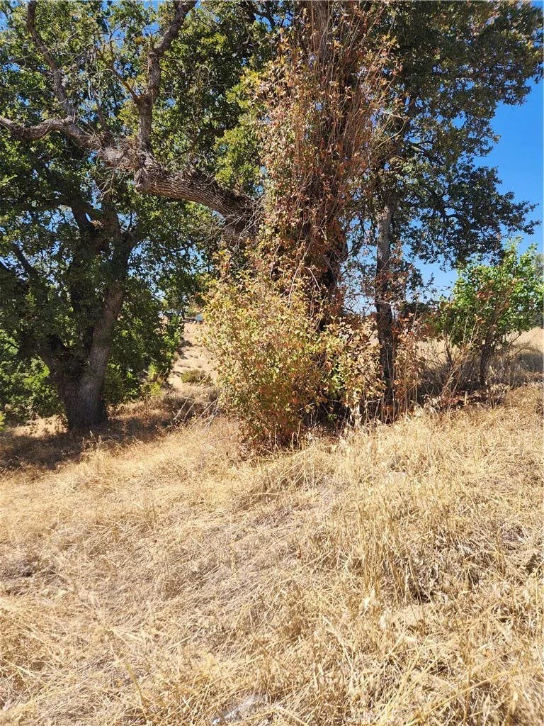 Photo of 7116 Weatherby PL, Corning, CA 96021 (MLS # SN26184210)