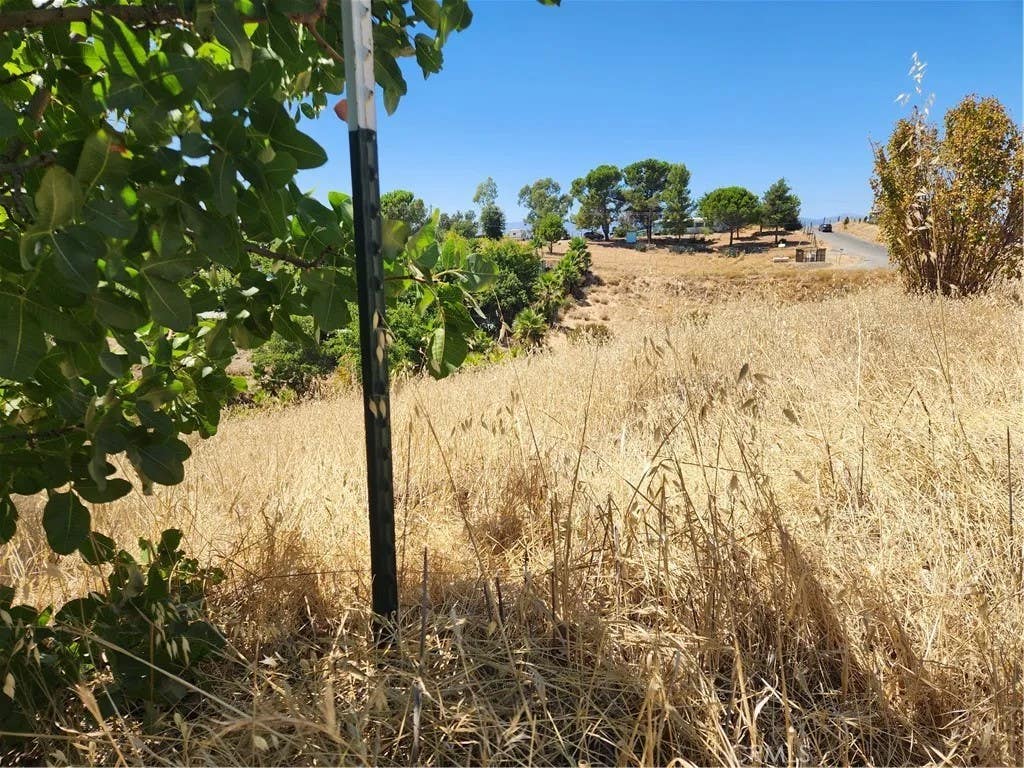 Photo of 7116 Weatherby PL, Corning, CA 96021 (MLS # SN26184210)