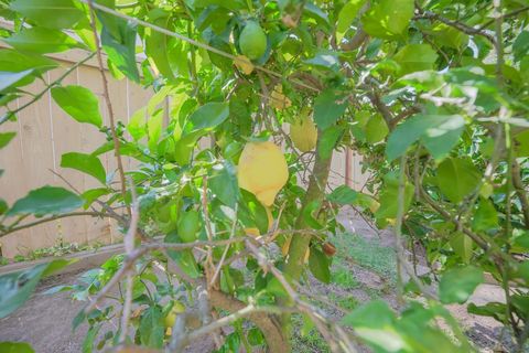 Tiny photo for 1772 Crescent Knolls Gln, Escondido, CA 92029 (MLS # 250043219)