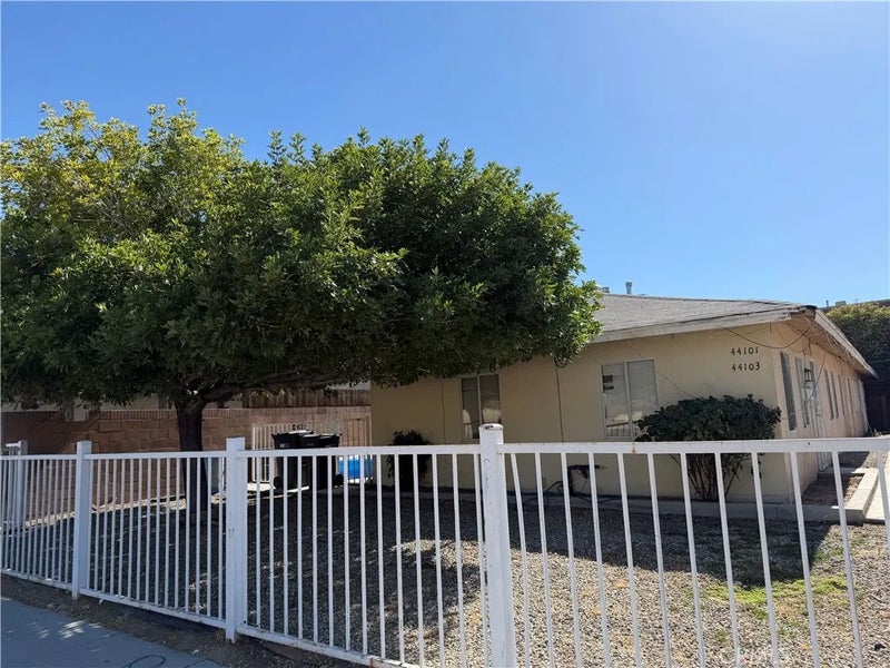 44101 Beech