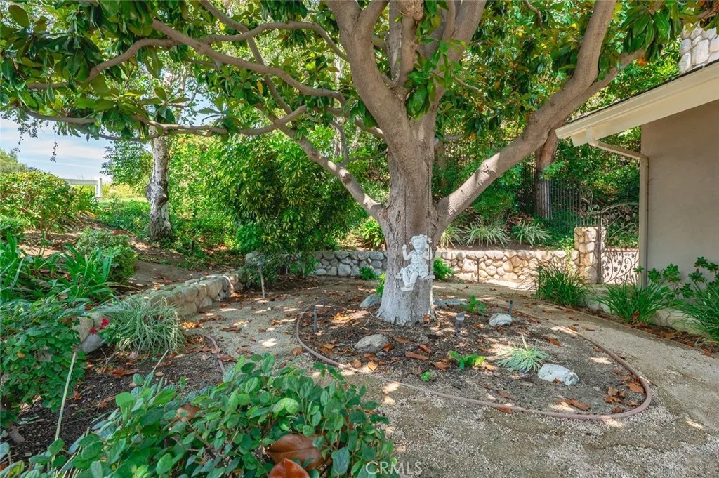 22536 Ridge Line Road