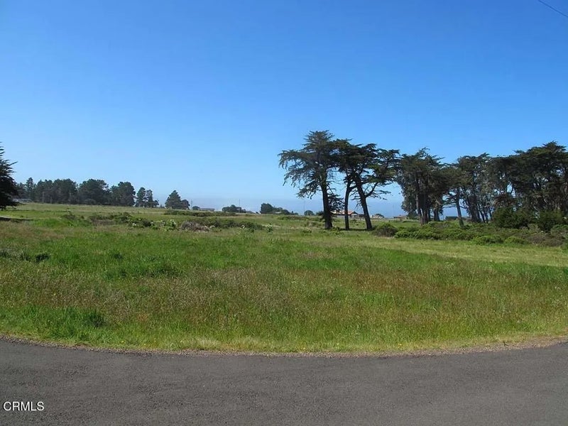 43575 Sea Cypress