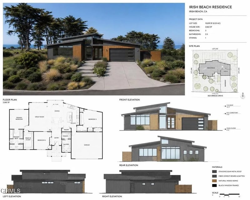 43575 Sea Cypress