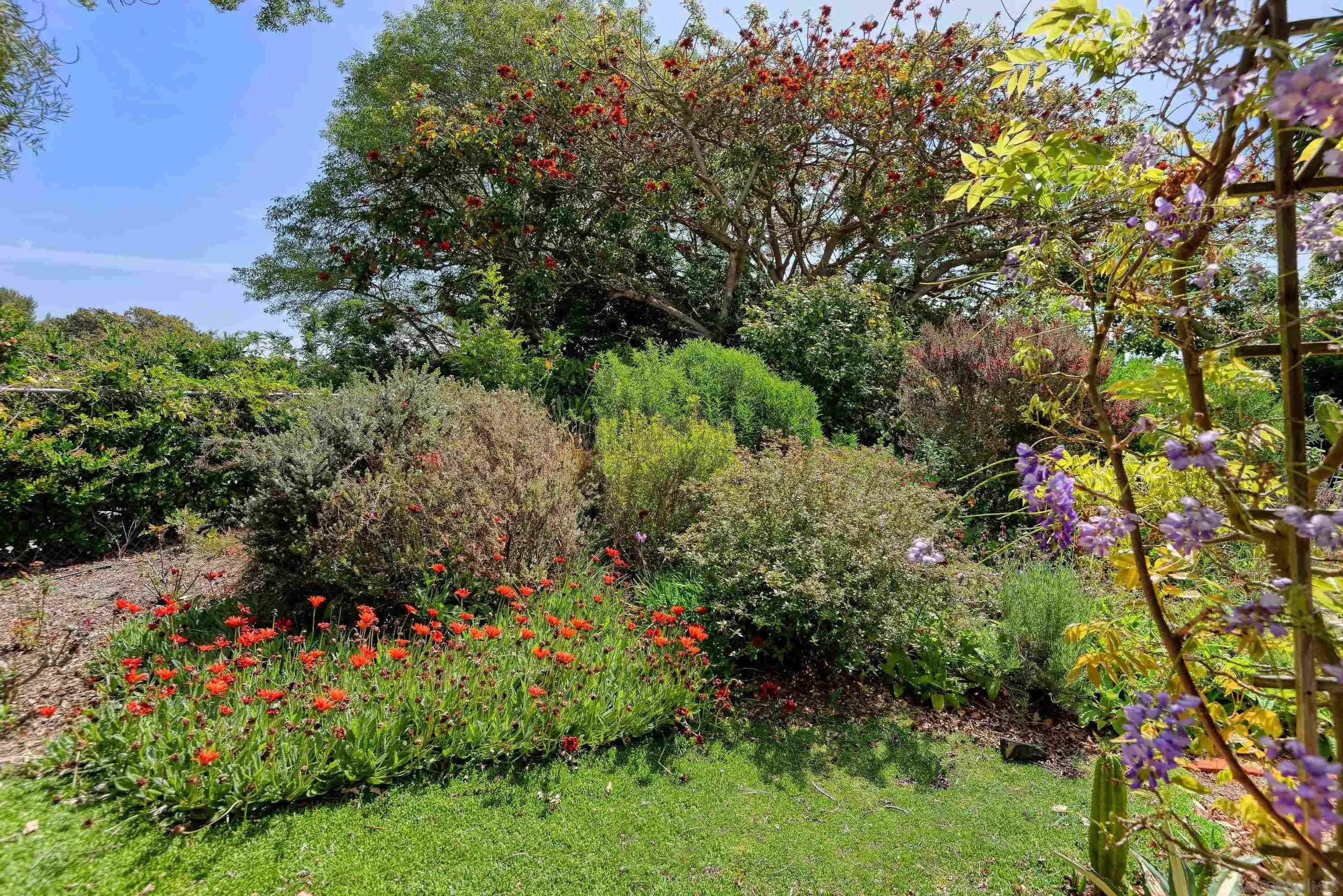 Del Mar, California 92014, United States, 3 Bedrooms Bedrooms, ,2 BathroomsBathrooms,Residential,Active,191045