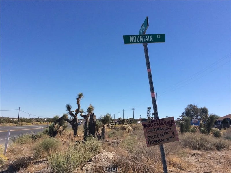 0 Smoketree