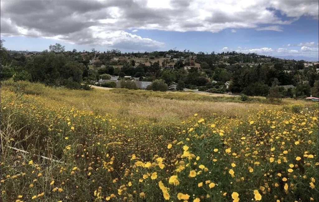 Photo of 2234 Tierra Verde RD, Vista, CA 92084 (MLS # FR26161767)