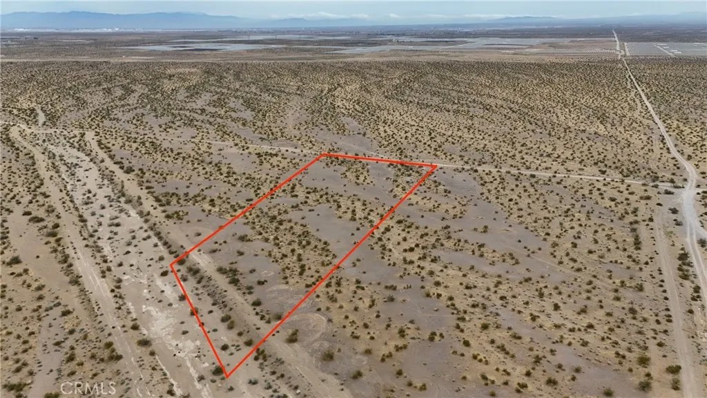 725 Desert Flower