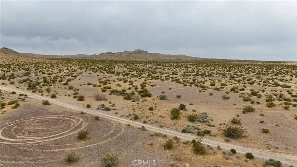 725 Desert Flower