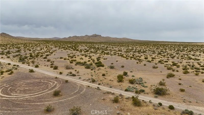 725 Desert Flower
