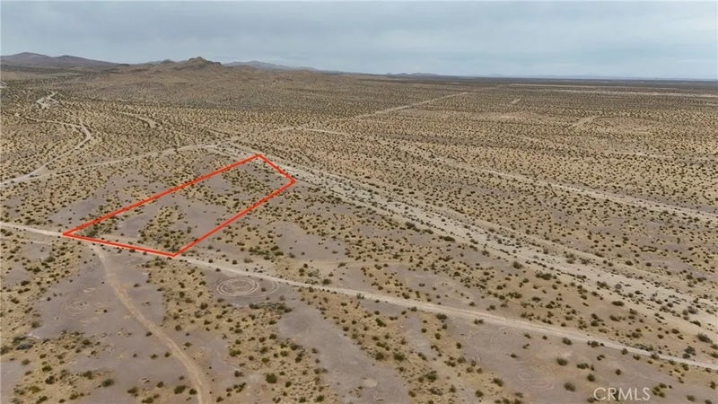 725 Desert Flower