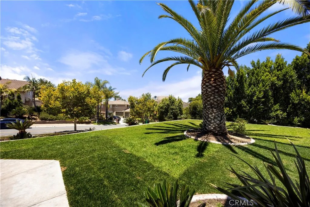 1503 Harness Lane