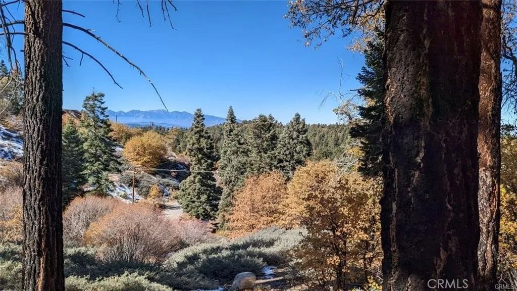 Photo of 0 San Antonio, Green Valley Lake, CA 92341 (MLS # CV26090003)