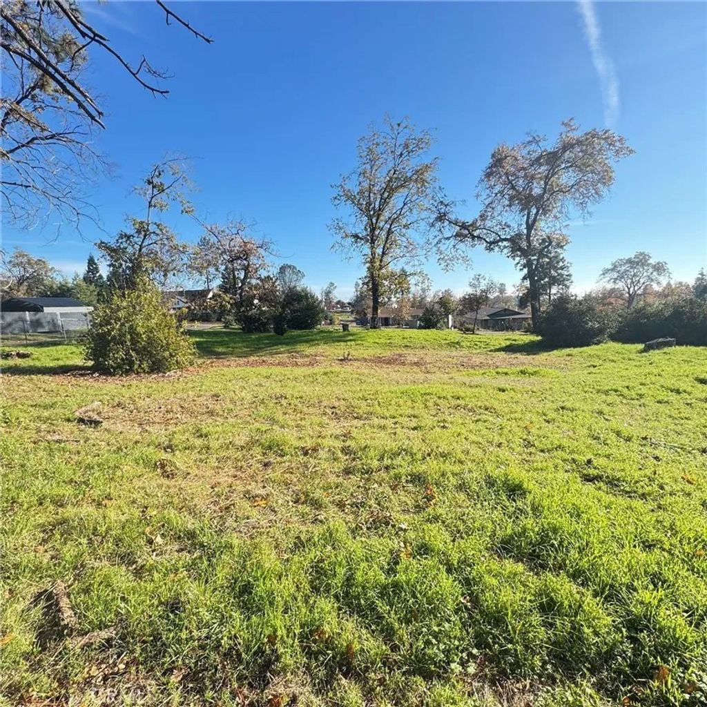 Photo of 5133 Foster Rd, Paradise, CA 95969 (MLS # SN25273378)