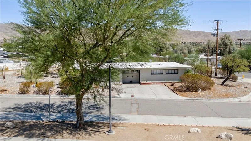 12909 Cactus