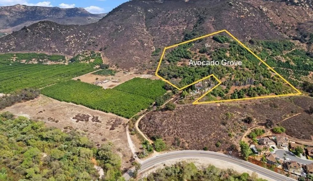 3264 Shearer Crossing