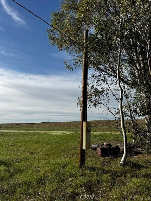 0 Coyote