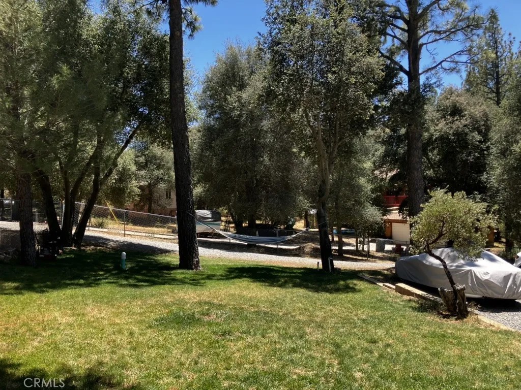 28919 Deer Creek