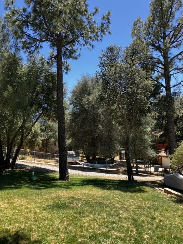 28919 Deer Creek