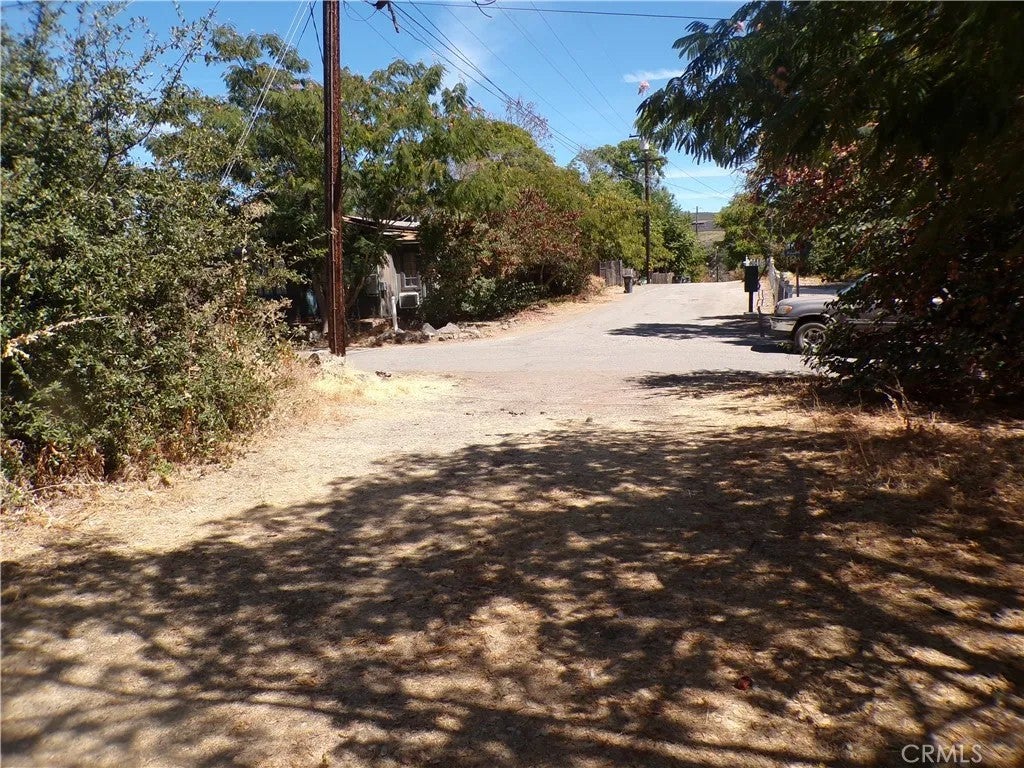 14176 Lupoyoma