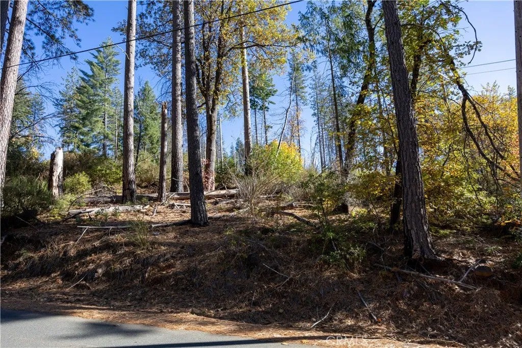 10991 Gifford Springs