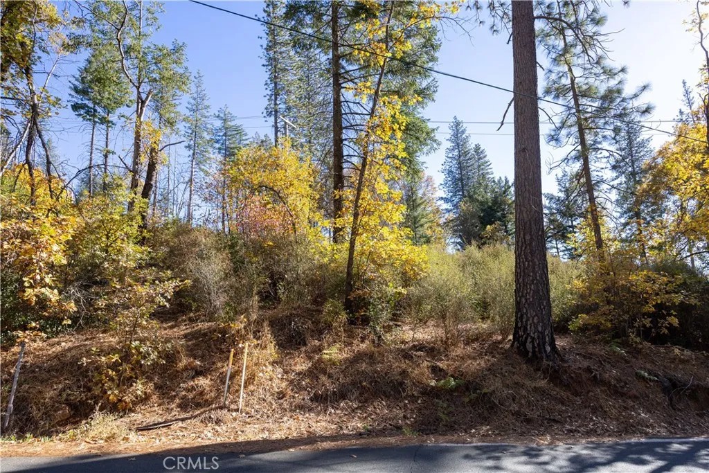 10991 Gifford Springs